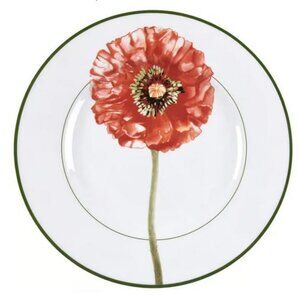 Villeroy & Boch Poppy Flora Dinner Plate Germany 1748 10.5" Ceramic Like New